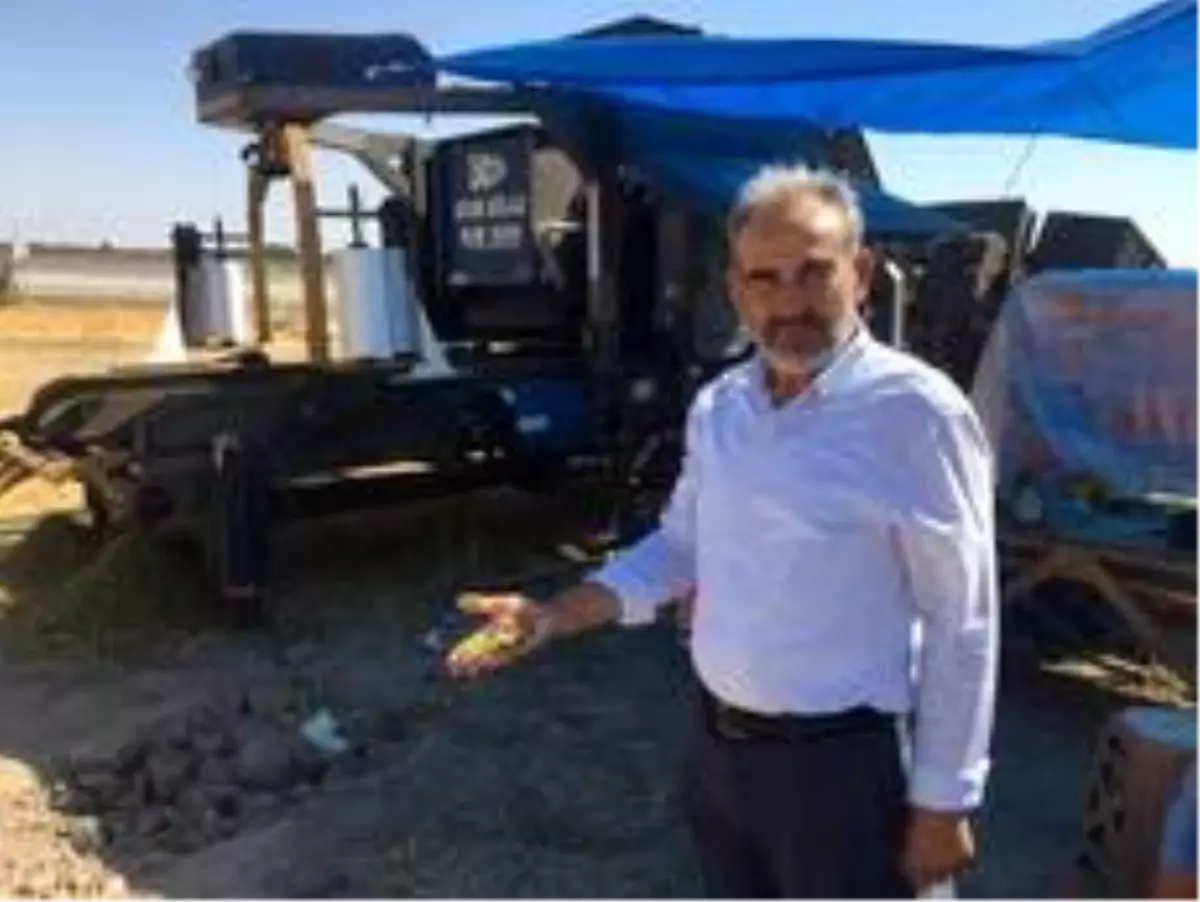 Başkan Hikmet Koyak: 'Üretici, silajlık mısır hasadından memnun'