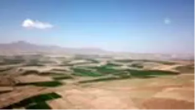 Bitlis'te kuru fasulye hasadından 370 milyon lira gelir beklentisi Bitlis'te kuru fasulye hasadından 370 milyon lira gelir beklentisi