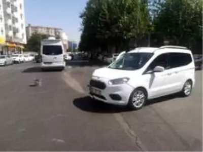 Diyarbakır'da hafif ticari araç ile minibüs çarpıştı: Faciadan dönüldü Diyarbakır'da hafif ticari araç ile minibüs çarpıştı: Faciadan dönüldü