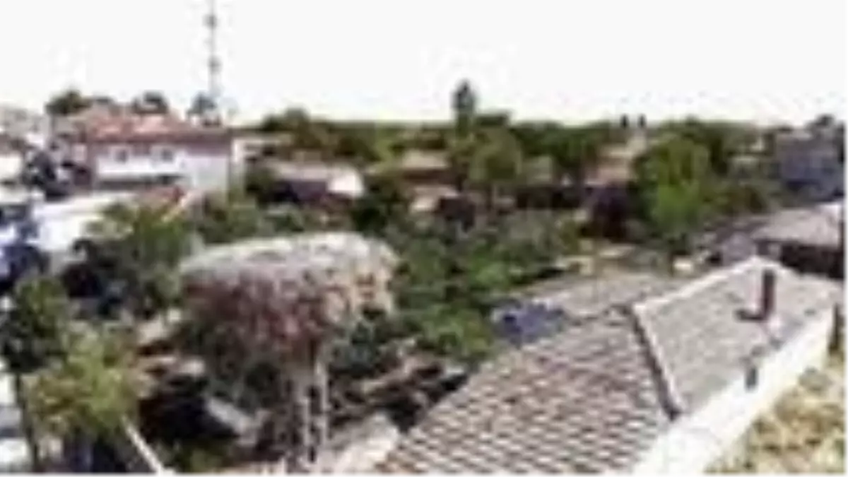 Göçe başlayan leyleklerin yuvalarını dronla tespit edip, bakım yaptılar