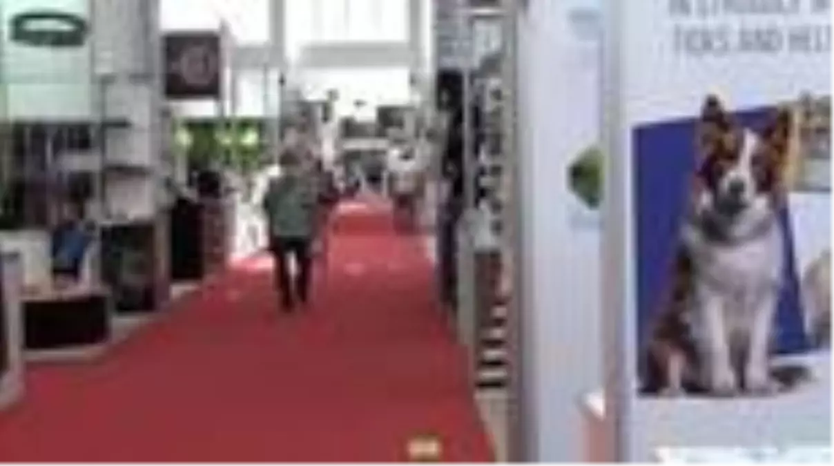 Hayvanseverleri buluşturan fuar açıldı