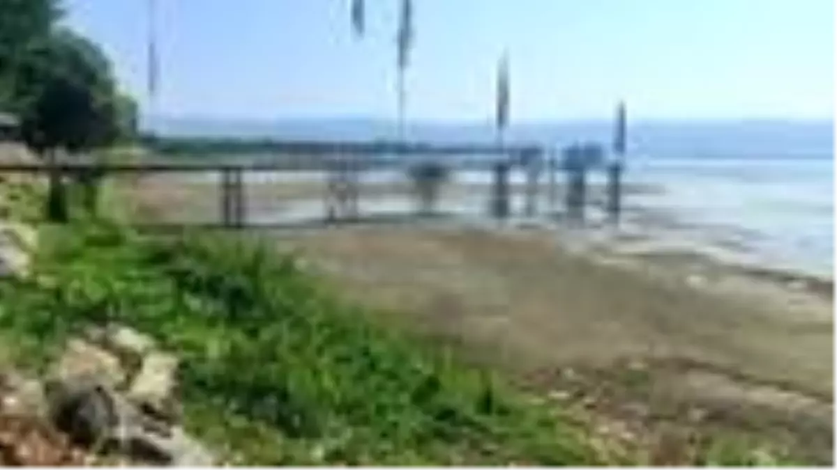 Son dakika haberi... İznik Gölü'ndeki çekilme iskele fotoğraflarında