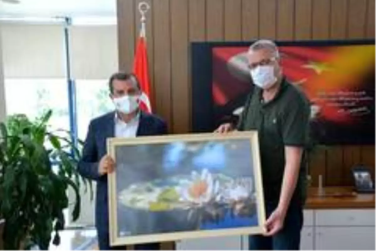 Karacabey, çim üretiminde de Türkiye'ye model oluyor
