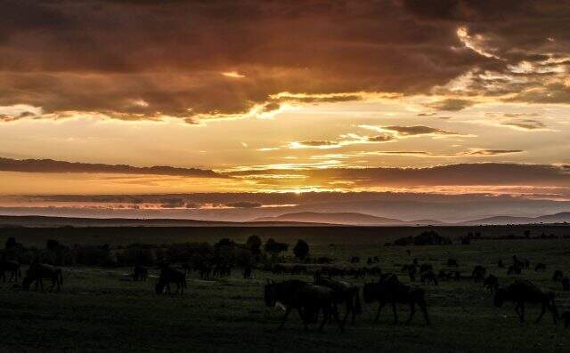 Kenya nerededir? Kenya hangi kıtadadır? Kenya'ya ulaşım nasıl sağlanmalıdır? Kenya'nın en meşhur yeri neresidir?