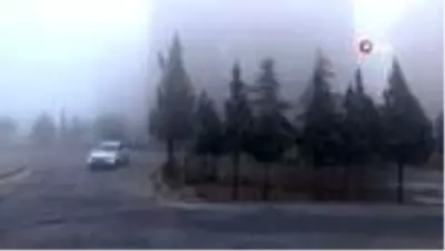 Kilis'te yoğun sis etkili oldu Kilis'te yoğun sis etkili oldu
