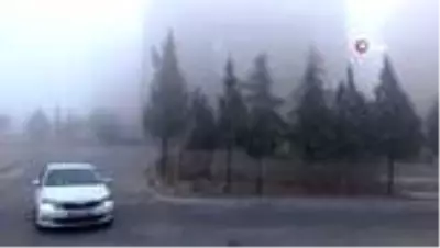 Kilis'te yoğun sis etkili oldu Kilis'te yoğun sis etkili oldu