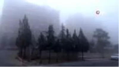 Kilis'te yoğun sis etkili oldu Kilis'te yoğun sis etkili oldu