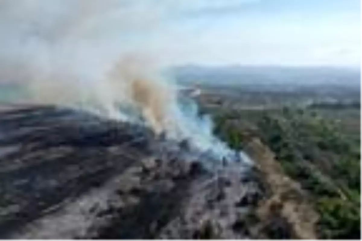 Kızılırmak Deltası'ndaki yangın, UNESCO sürecini etkilemeyecek (2)