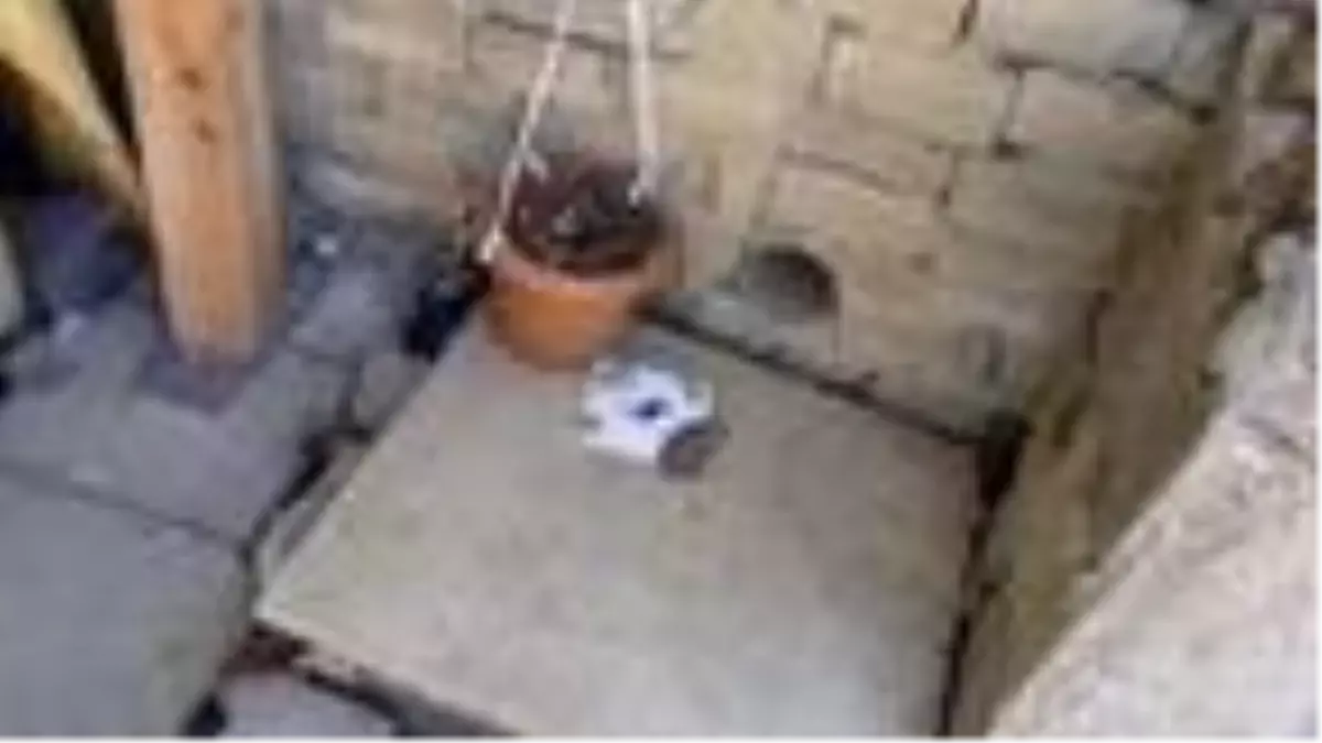 Evleri basan yılan ve akrepler mahallelinin uykularını kaçırdı
