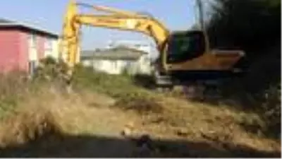 Mahallelinin yılan ve akrep korkusu (2) Mahallelinin yılan ve akrep korkusu (2)