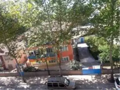 Osmancık'ta ağaçlar susuzluktan kuruyor Osmancık'ta ağaçlar susuzluktan kuruyor