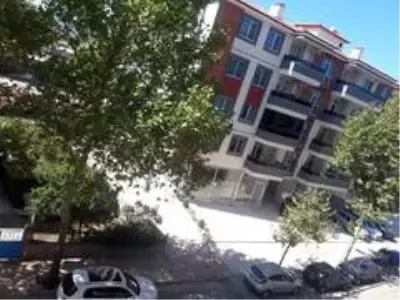 Osmancık'ta ağaçlar susuzluktan kuruyor Osmancık'ta ağaçlar susuzluktan kuruyor