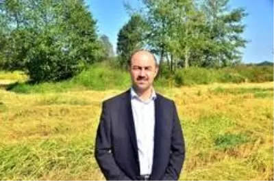 Pirinç diyarı Terme'de çeltik hasadı başladı Pirinç diyarı Terme'de çeltik hasadı başladı