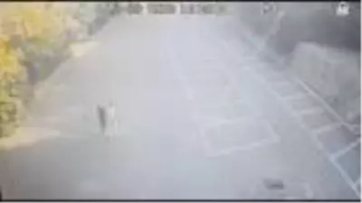 Sevgilisini bıçaklayan genç kız, hiçbir şey olmamış gibi başında bekledi