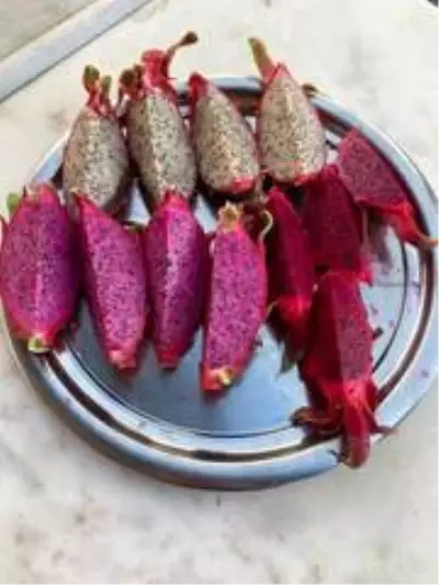 Tropikal meyvenin yeni gözdesi Aksu