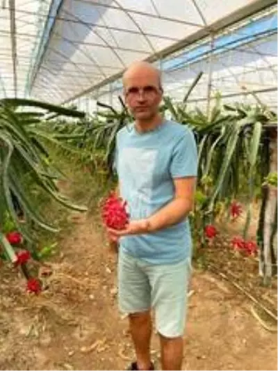 Tropikal meyvenin yeni gözdesi Aksu