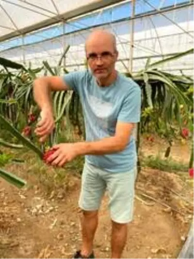 Tropikal meyvenin yeni gözdesi Aksu