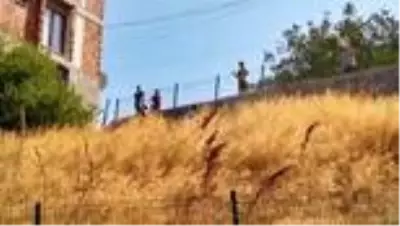 Yılan ve akreplere karşı ilaçlama yapıldı Yılan ve akreplere karşı ilaçlama yapıldı