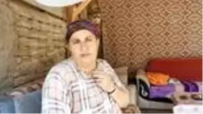 Yılan ve akreplere karşı ilaçlama yapıldı Yılan ve akreplere karşı ilaçlama yapıldı