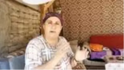 Yılan ve akreplere karşı ilaçlama yapıldı Yılan ve akreplere karşı ilaçlama yapıldı