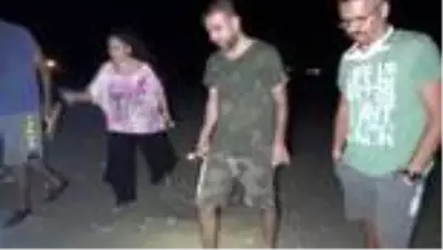 Yılın son caretta yavruları denizle buluştu Yılın son caretta yavruları denizle buluştu