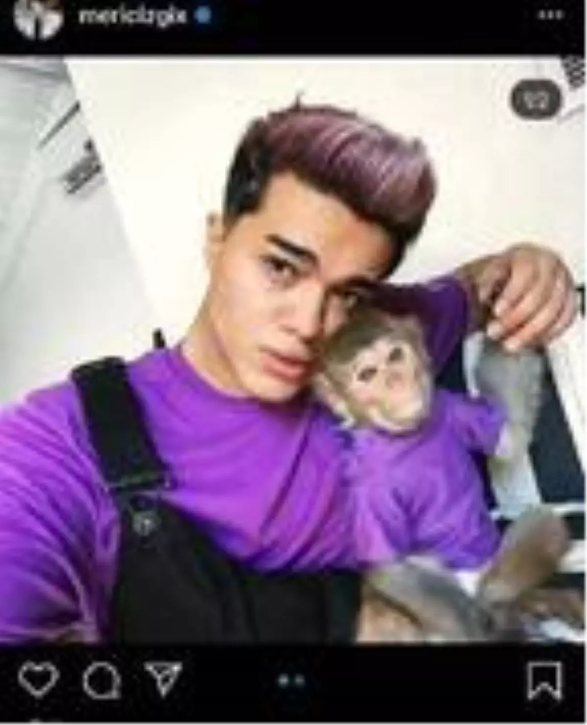 3'üncü kez kaçak maymun alan sosyal medya fenomeni adliyeye sevk edildi