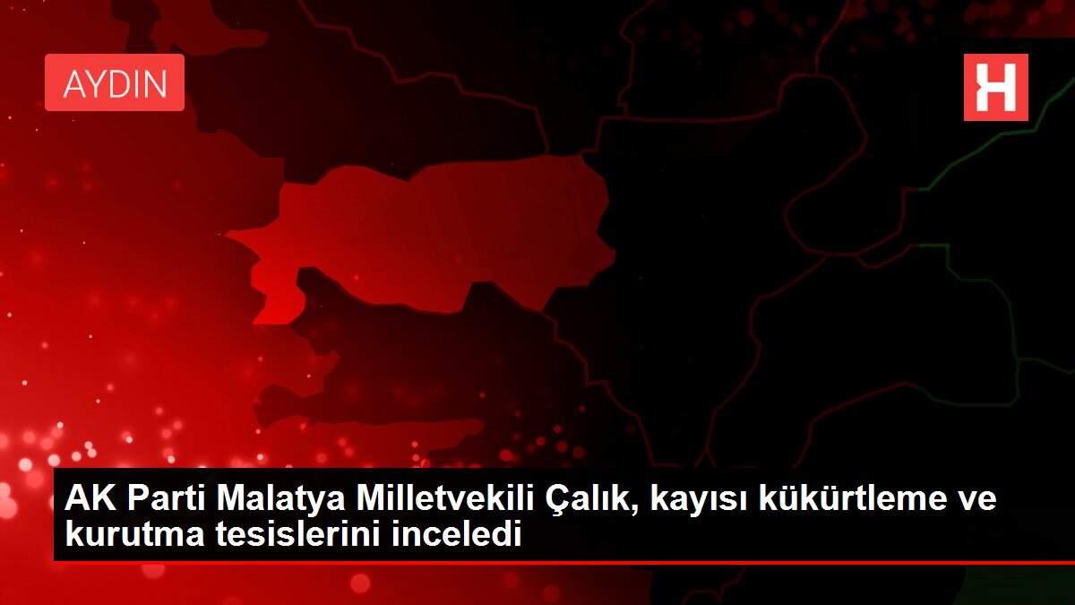 AK Parti Malatya Milletvekili Çalık, kayısı kükürtleme ve kurutma tesislerini inceledi AK Parti Malatya Milletvekili Çalık, kayısı kükürtleme ve kurutma tesislerini inceledi