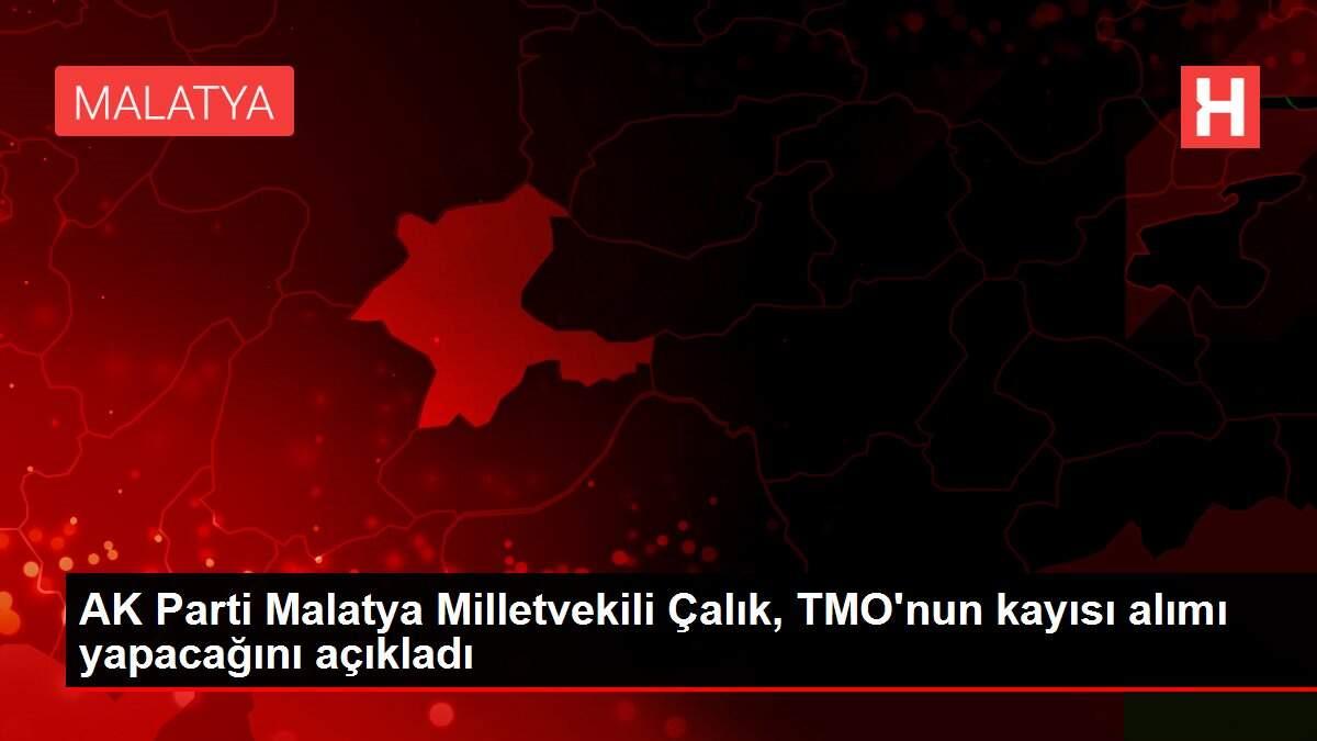 AK Parti Malatya Milletvekili Çalık, TMO'nun kayısı alımı yapacağını açıkladı AK Parti Malatya Milletvekili Çalık, TMO'nun kayısı alımı yapacağını açıkladı