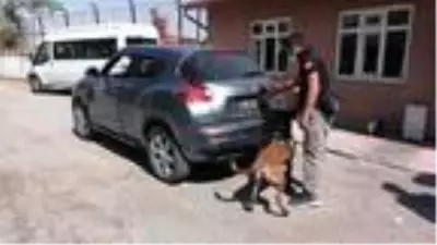 Son dakika haber! Aksaray'da uyuşturucu operasyonu, 2 şüpheli tutuklandı Son dakika haber! Aksaray'da uyuşturucu operasyonu, 2 şüpheli tutuklandı