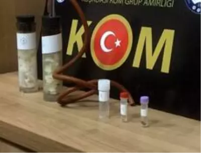 Son dakika haberleri... Aydın'da 'böcek kaçakcısı' yabancı uyruklu şahıs yakalandı Son dakika haberleri... Aydın'da 'böcek kaçakcısı' yabancı uyruklu şahıs yakalandı