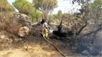 Ayvalık'ta ormanlık alanda örtü yangını Ayvalık'ta ormanlık alanda örtü yangını