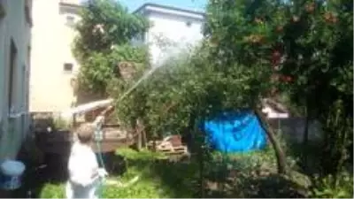 Belediye Muhtarlar aracılığıyla ilaçlama desteği verecek Belediye Muhtarlar aracılığıyla ilaçlama desteği verecek