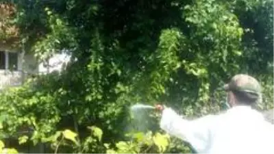 Belediye Muhtarlar aracılığıyla ilaçlama desteği verecek Belediye Muhtarlar aracılığıyla ilaçlama desteği verecek