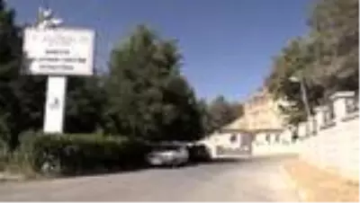 'Bereketin sembolü' kelaynaklar için yeni üreme istasyonu kuruluyor 'Bereketin sembolü' kelaynaklar için yeni üreme istasyonu kuruluyor
