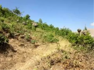 Bitlis'te Yıldırım-12 Beşkaynak Operasyonu başlatıldı Bitlis'te Yıldırım-12 Beşkaynak Operasyonu başlatıldı