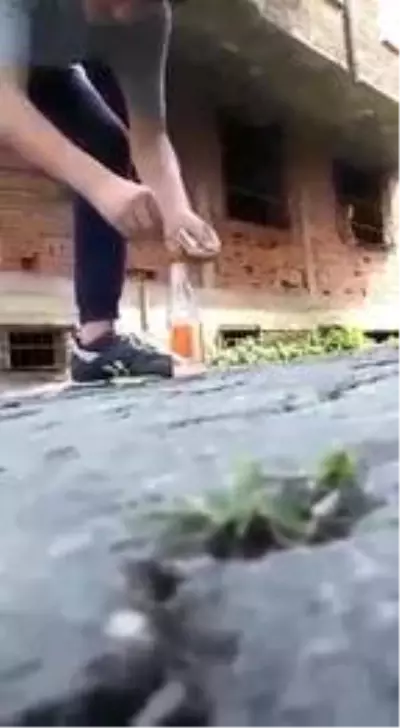 Sosyal medyada yayınlamak için çektikleri video 14 yaşındaki çocuğun hayatını kararttı Sosyal medyada yayınlamak için çektikleri video 14 yaşındaki çocuğun hayatını kararttı
