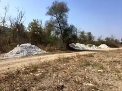 Çevreyi katleden şirkete ağır ceza Çevreyi katleden şirkete ağır ceza