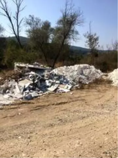 Çevreyi katleden şirkete ağır ceza Çevreyi katleden şirkete ağır ceza