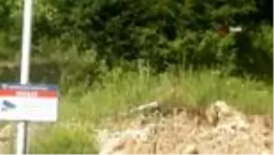 Demir korkuluklar arkasında binlerce yıllık tarih yatıyor Demir korkuluklar arkasında binlerce yıllık tarih yatıyor