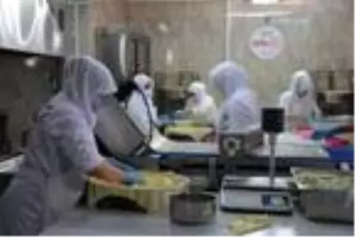 Erzurum su böreği AB'den tescil almaya hazırlanıyor Erzurum su böreği AB'den tescil almaya hazırlanıyor