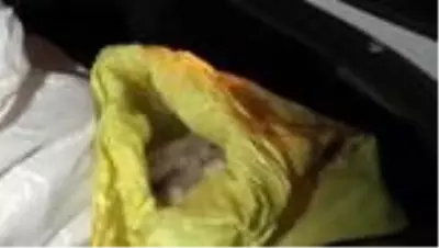 Son dakika haberi... Eyüpsultan'daki uyuşturucu operasyonunda 1 kişi yakalandı Son dakika haberi... Eyüpsultan'daki uyuşturucu operasyonunda 1 kişi yakalandı