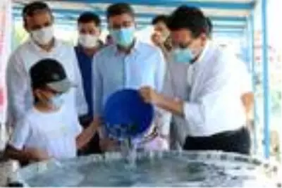 Finike'de 5 bin yavru levrek denize bırakıldı Finike'de 5 bin yavru levrek denize bırakıldı