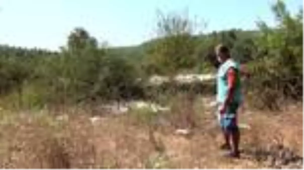 Gurbetçi, yaptırdığı taşınabilinir evinin çalındığını tatile gelince fark etti