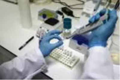 Koronavirüs aşısında hayvan deneyleri aşamasına gelen Hacettepe Üniversite'sinde gece gündüz çalışılıyor Koronavirüs aşısında hayvan deneyleri aşamasına gelen Hacettepe Üniversite'sinde gece gündüz çalışılıyor