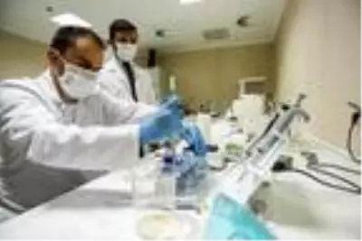 Koronavirüs aşısında hayvan deneyleri aşamasına gelen Hacettepe Üniversite'sinde gece gündüz çalışılıyor Koronavirüs aşısında hayvan deneyleri aşamasına gelen Hacettepe Üniversite'sinde gece gündüz çalışılıyor