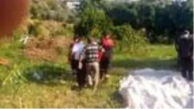 Hasat yapan çiftçi kolonu silaj makinesine kaptırdı Hasat yapan çiftçi kolonu silaj makinesine kaptırdı