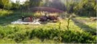 Hasat yapan çiftçi kolonu silaj makinesine kaptırdı Hasat yapan çiftçi kolonu silaj makinesine kaptırdı