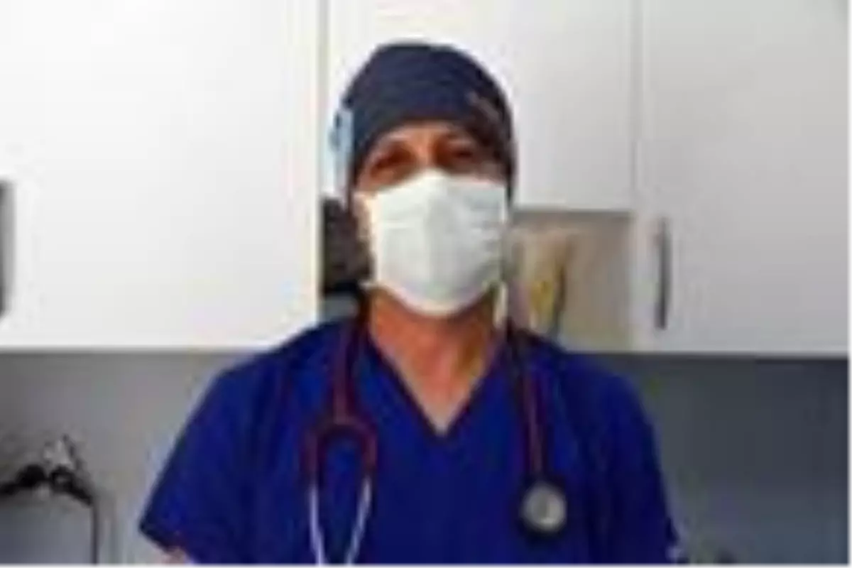 Son dakika haberi | 'Hayvanlara özgü koronavirüs kedilerde ölümcül'