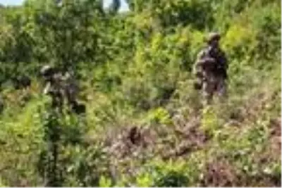 Son dakika... İçişleri Bakanlığı: Bitlis'te 'Yıldırım-12 Beşkaynak Operasyonu' başlatıldı Son dakika... İçişleri Bakanlığı: Bitlis'te 'Yıldırım-12 Beşkaynak Operasyonu' başlatıldı
