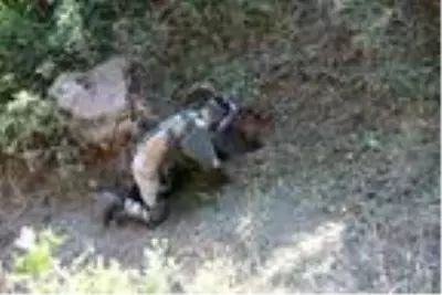 Son dakika... İçişleri Bakanlığı: Bitlis'te 'Yıldırım-12 Beşkaynak Operasyonu' başlatıldı Son dakika... İçişleri Bakanlığı: Bitlis'te 'Yıldırım-12 Beşkaynak Operasyonu' başlatıldı